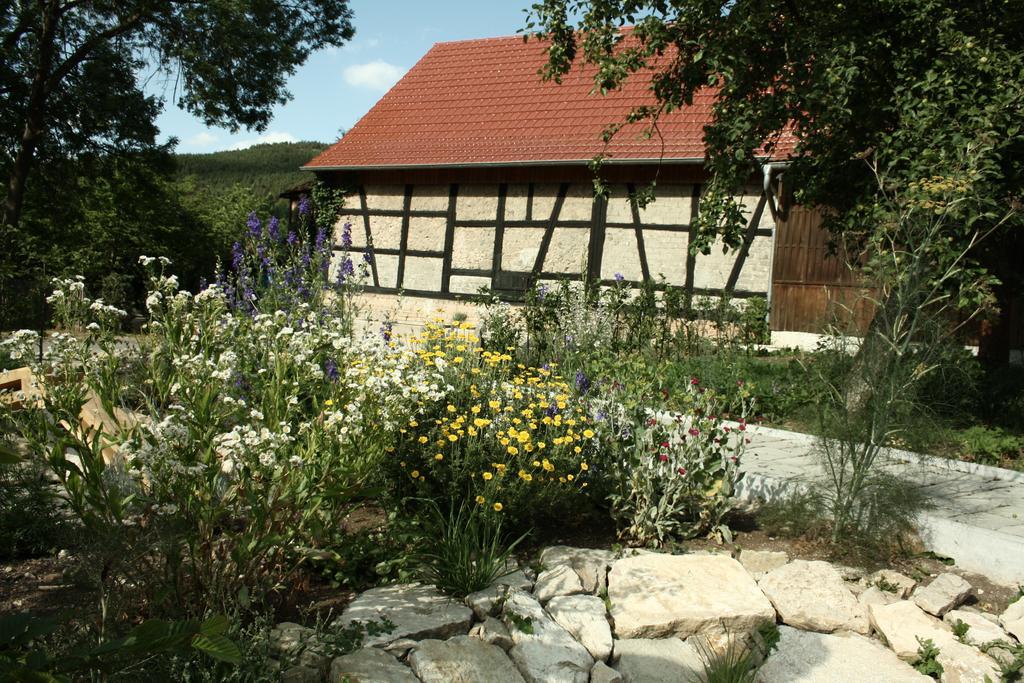 Apartamento Café Landart im Thüringer Finistère Plaue  Habitación foto