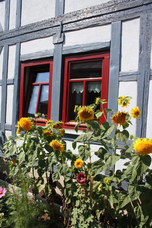 Apartamento Café Landart im Thüringer Finistère Plaue  Exterior foto